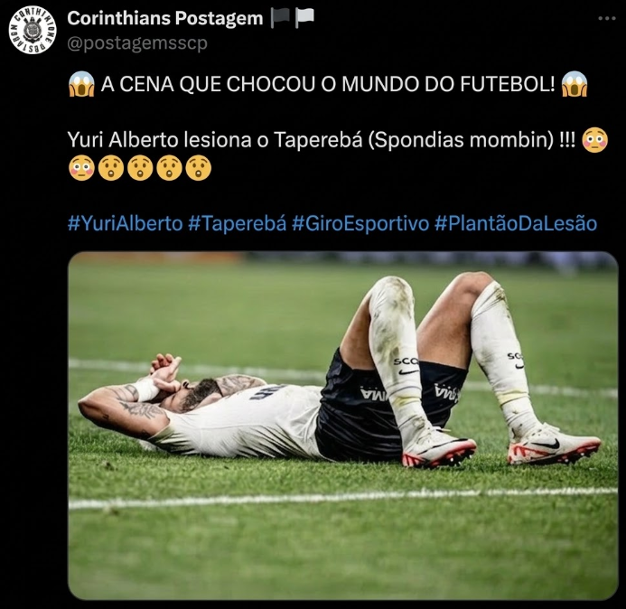 Vini tweet media
