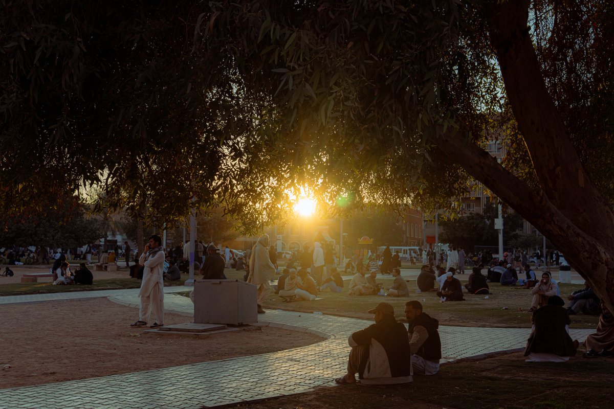 داليا tweet media