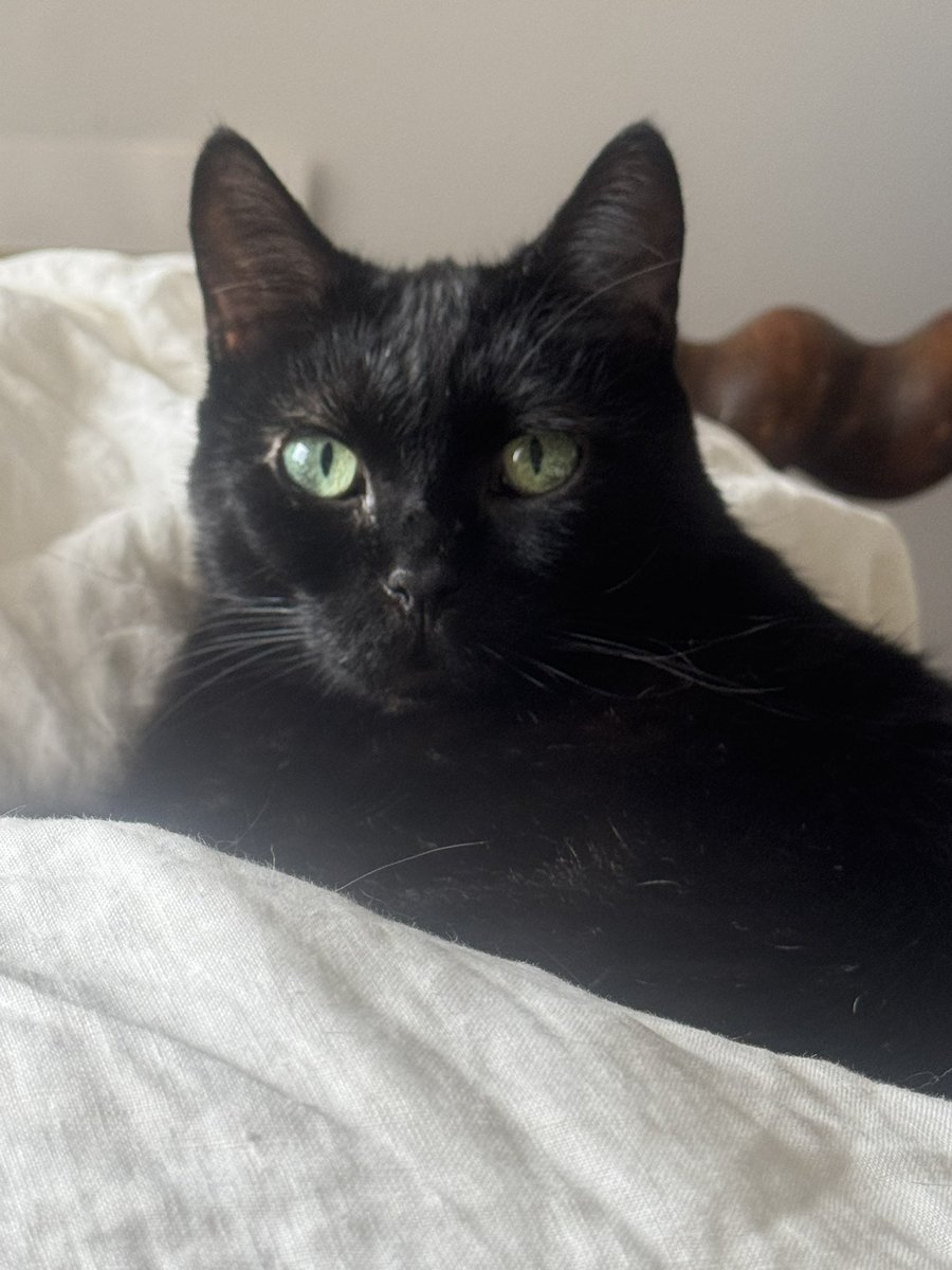 Tom Day-Knight tweet media