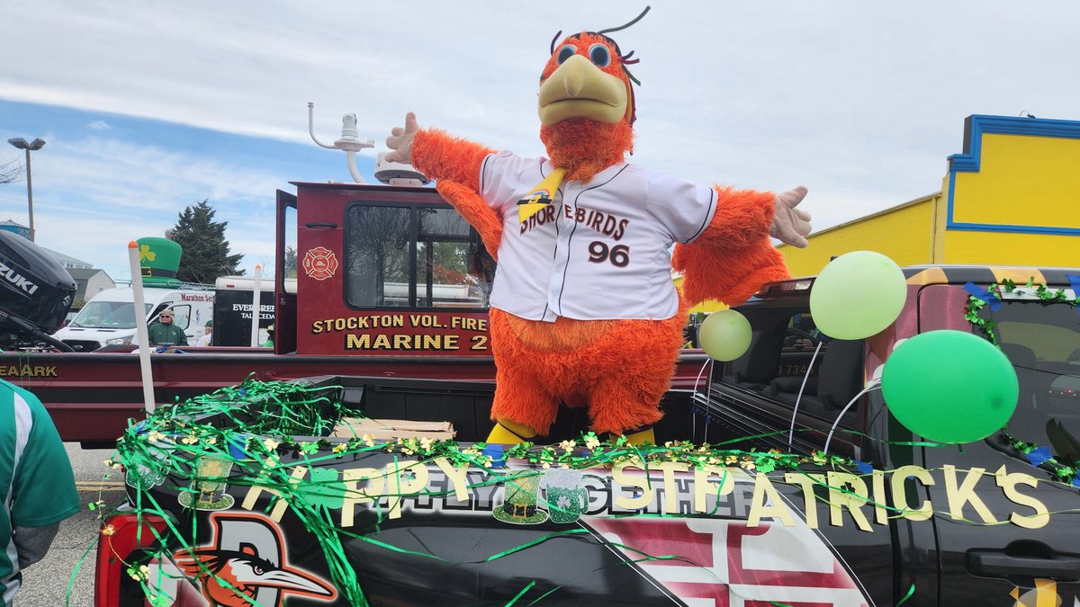 Delmarva Shorebirds tweet media