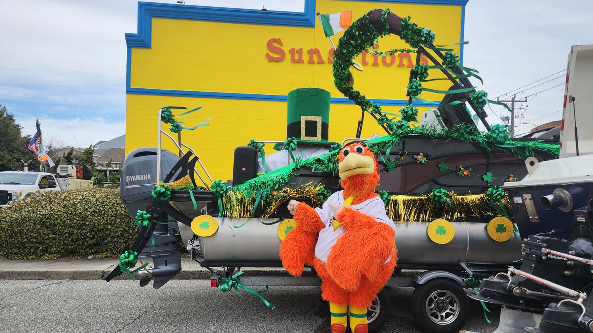 Delmarva Shorebirds tweet media