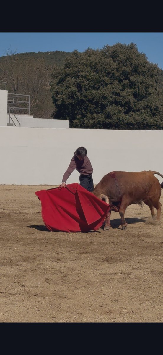 Info_Espada tweet media