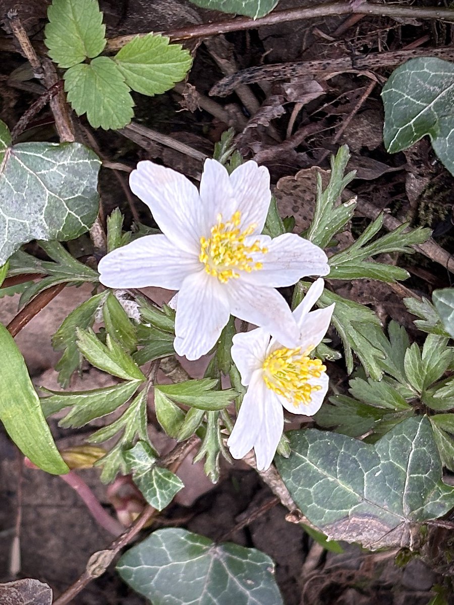 MartinWW❌ tweet media