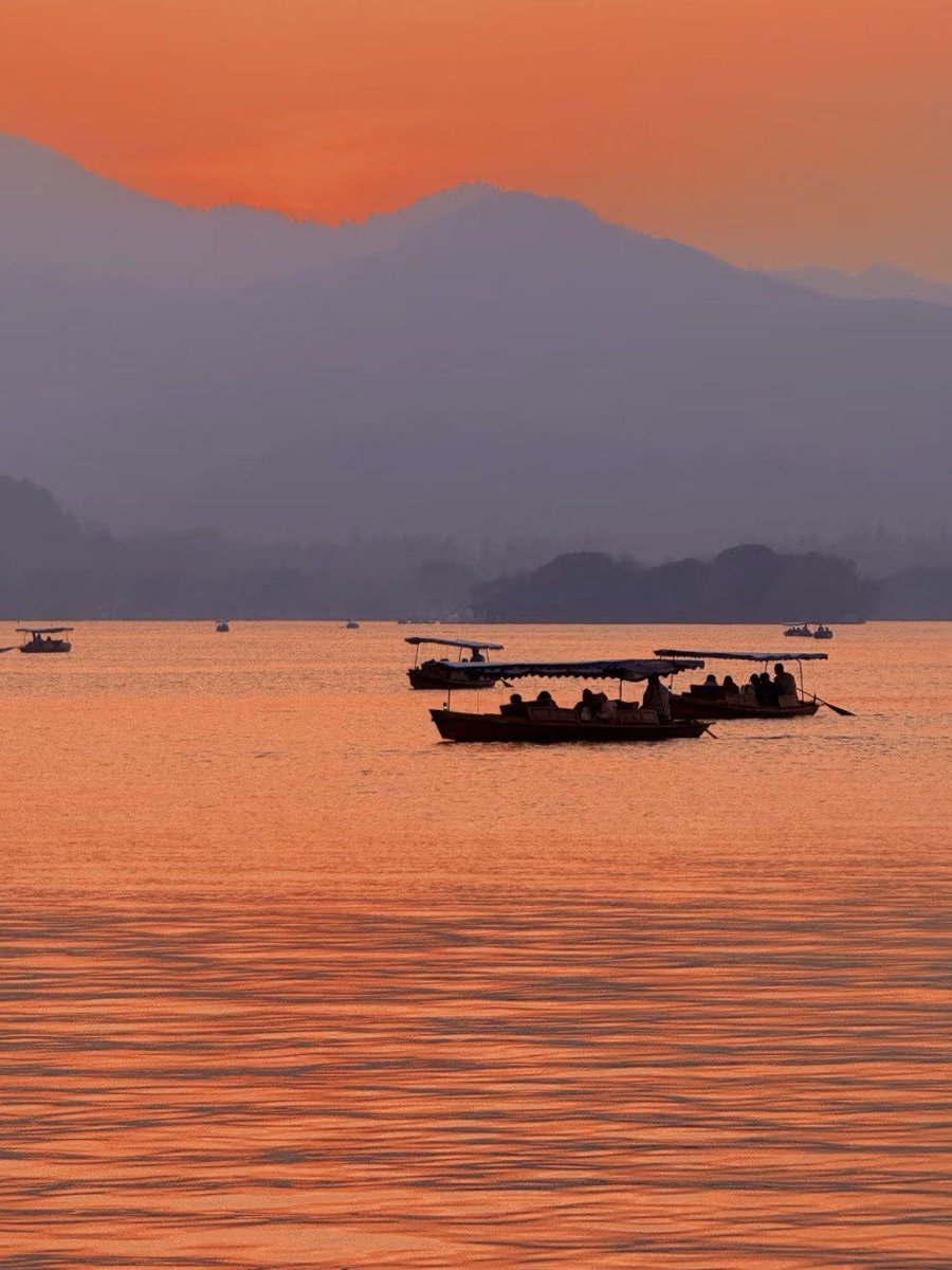 TheCollective tweet media