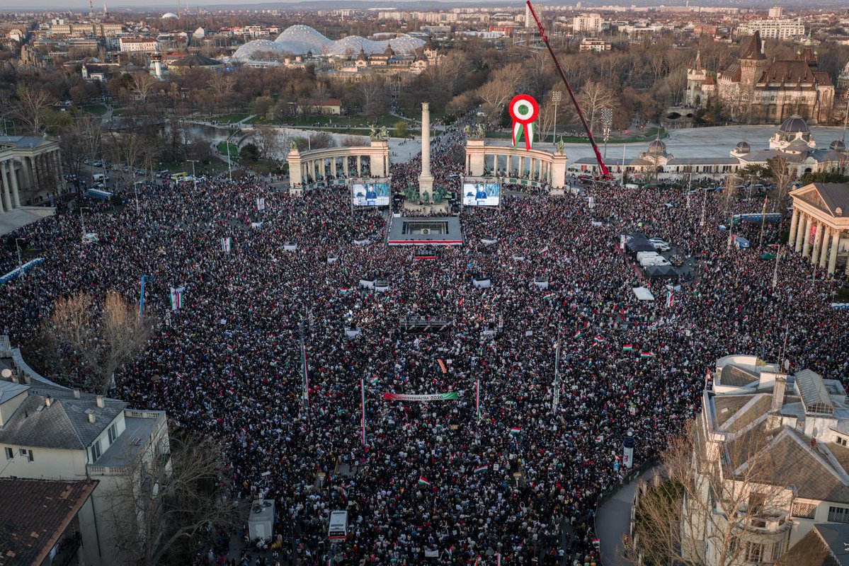 (((Tendar))) tweet media