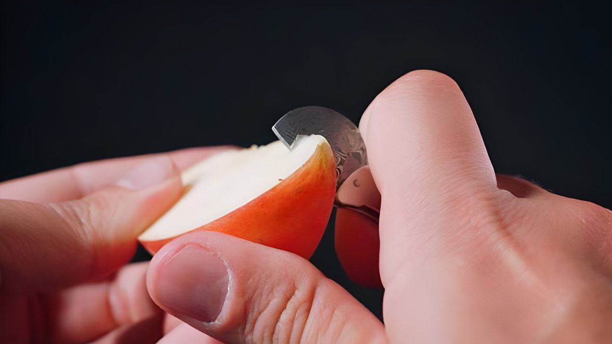 stingknives's tweet photo. Small size, massive power. ⚡️ Sting is the ultimate Micro Keychain Knife. ⚔️

Razor-sharp Damascus steel for your daily tasks. The perfect EDC Utility Knife that fits anywhere. Always ready! 🛠️

🛒 Shop: https://t.co/GfvCFwmmJQ

#microkeychain #edc #utilityknife #pocketknife https://t.co/kZjVPcRMAd