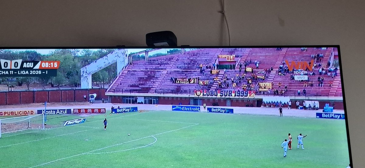 Pereirano tweet media