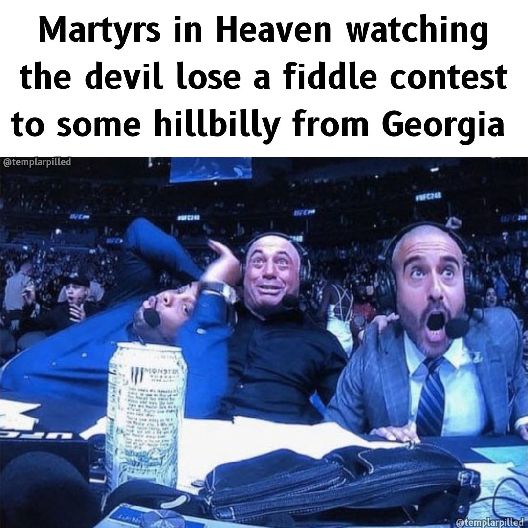 Templarpilled tweet media