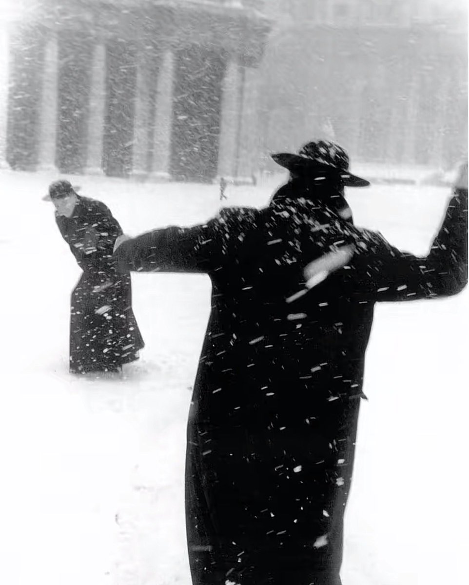 Credo ☨̶ tweet media