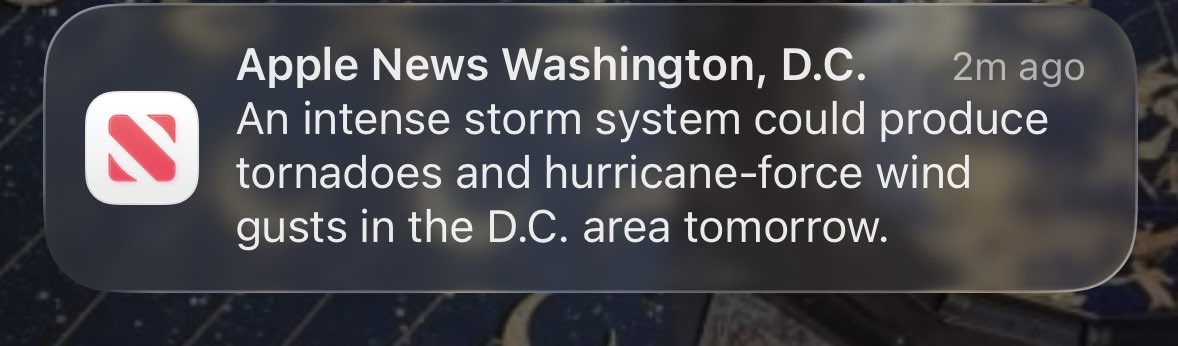 mol 🧸 tweet media