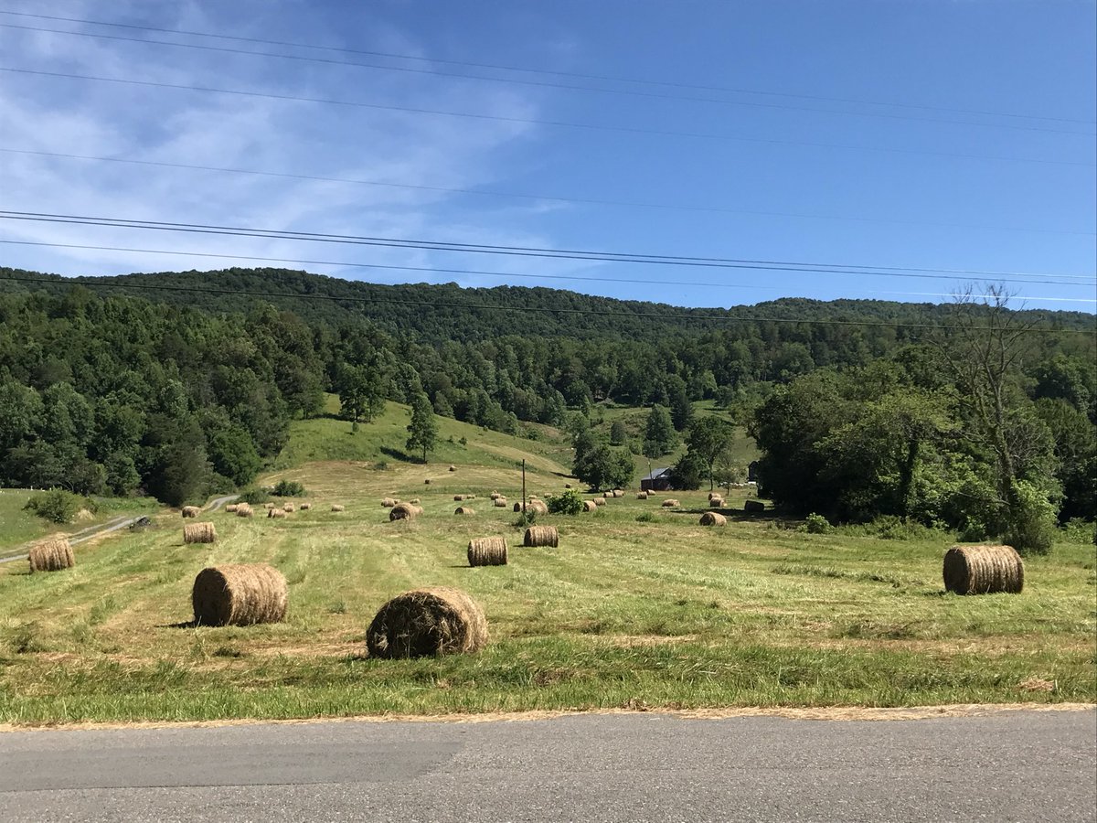 Greg Suki🇺🇸🇺🇸🐄🐮🤠🪖🎖 tweet media