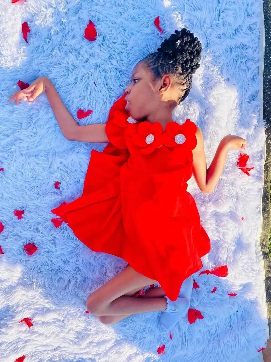 Ella🇺🇸 tweet media