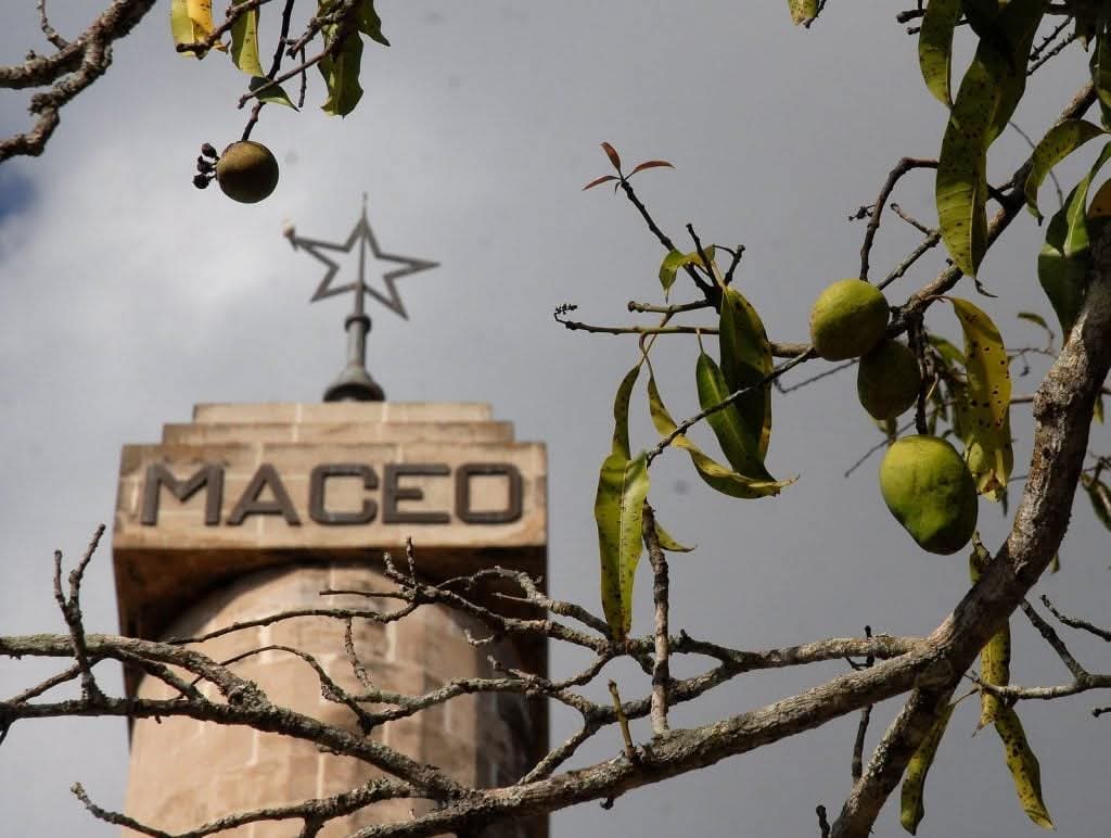 Yury Valdés Balbín tweet media