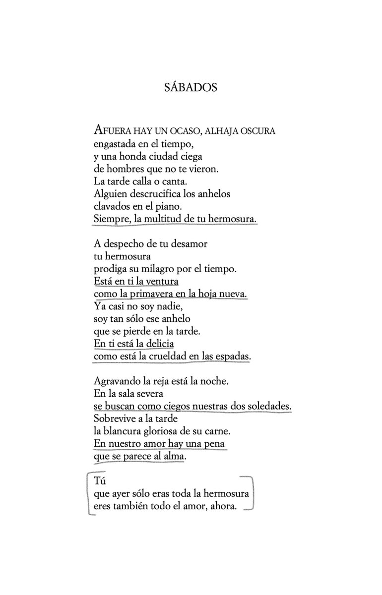 Ismael López Gálvez tweet media