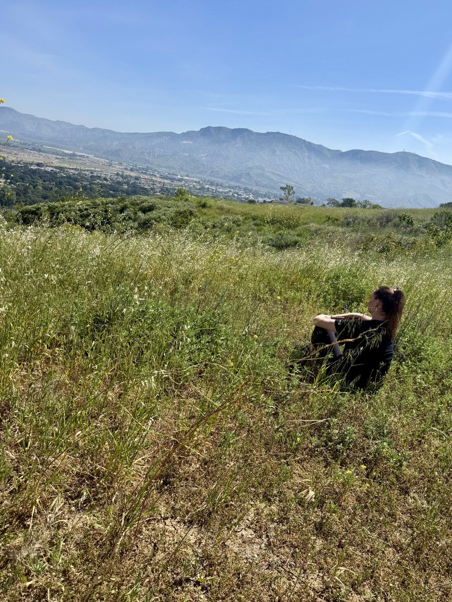 💙VeVeMagic.eth⭕️🏰 tweet media