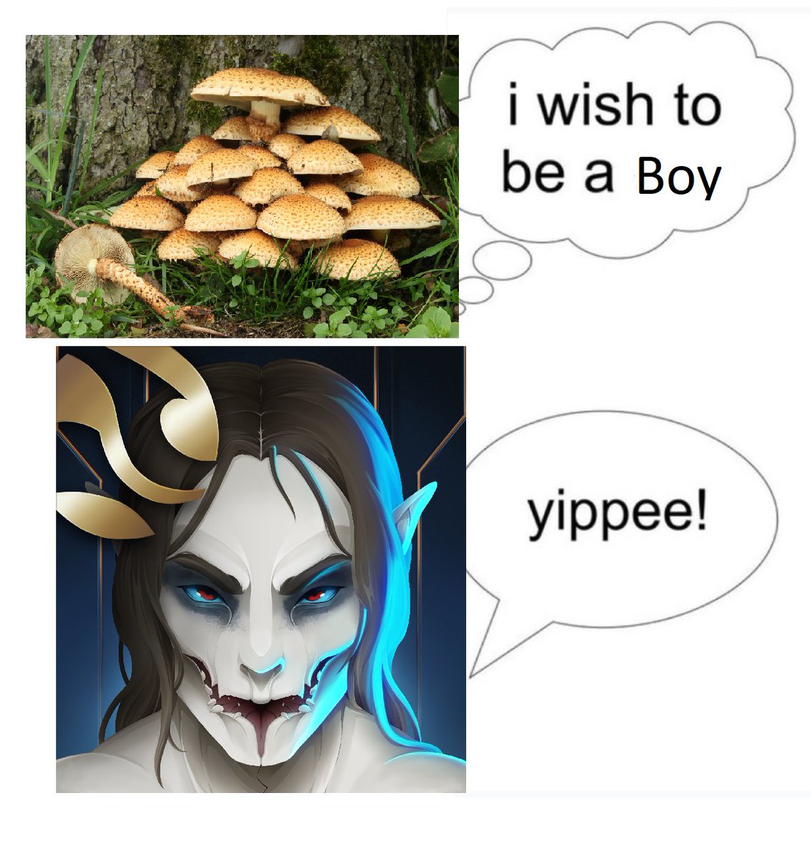 Dreeb(hostile) tweet media