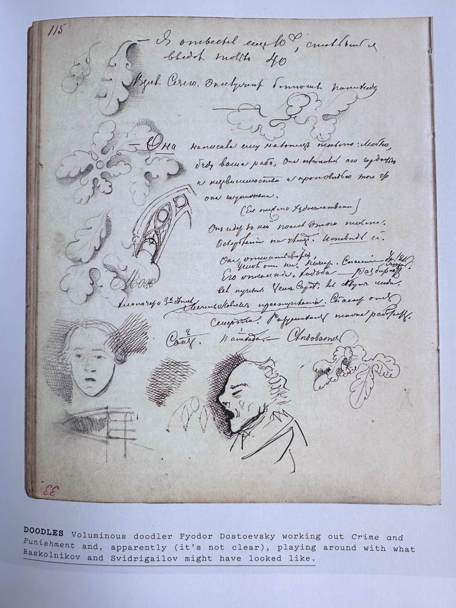 Alina Stefanescu tweet media