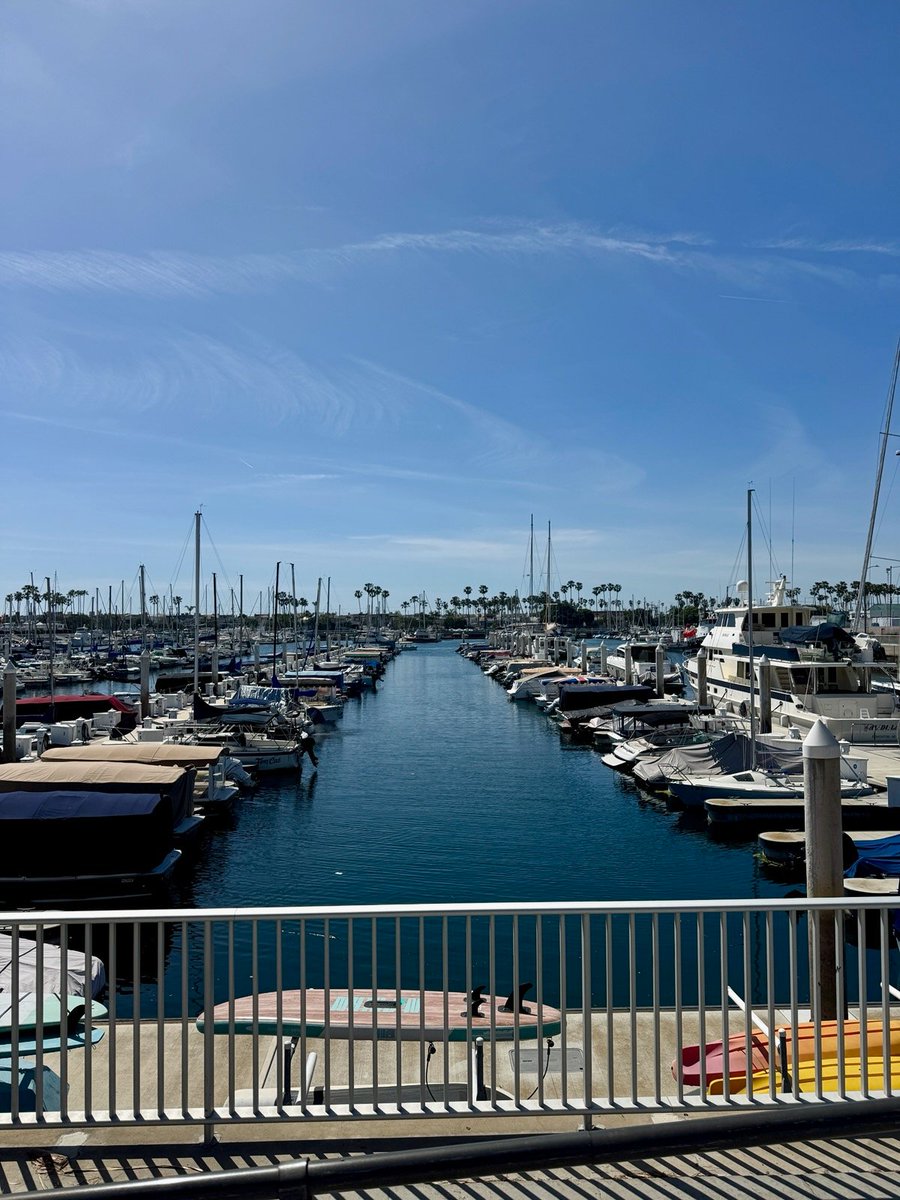 Shae Roberts 🌊 tweet media