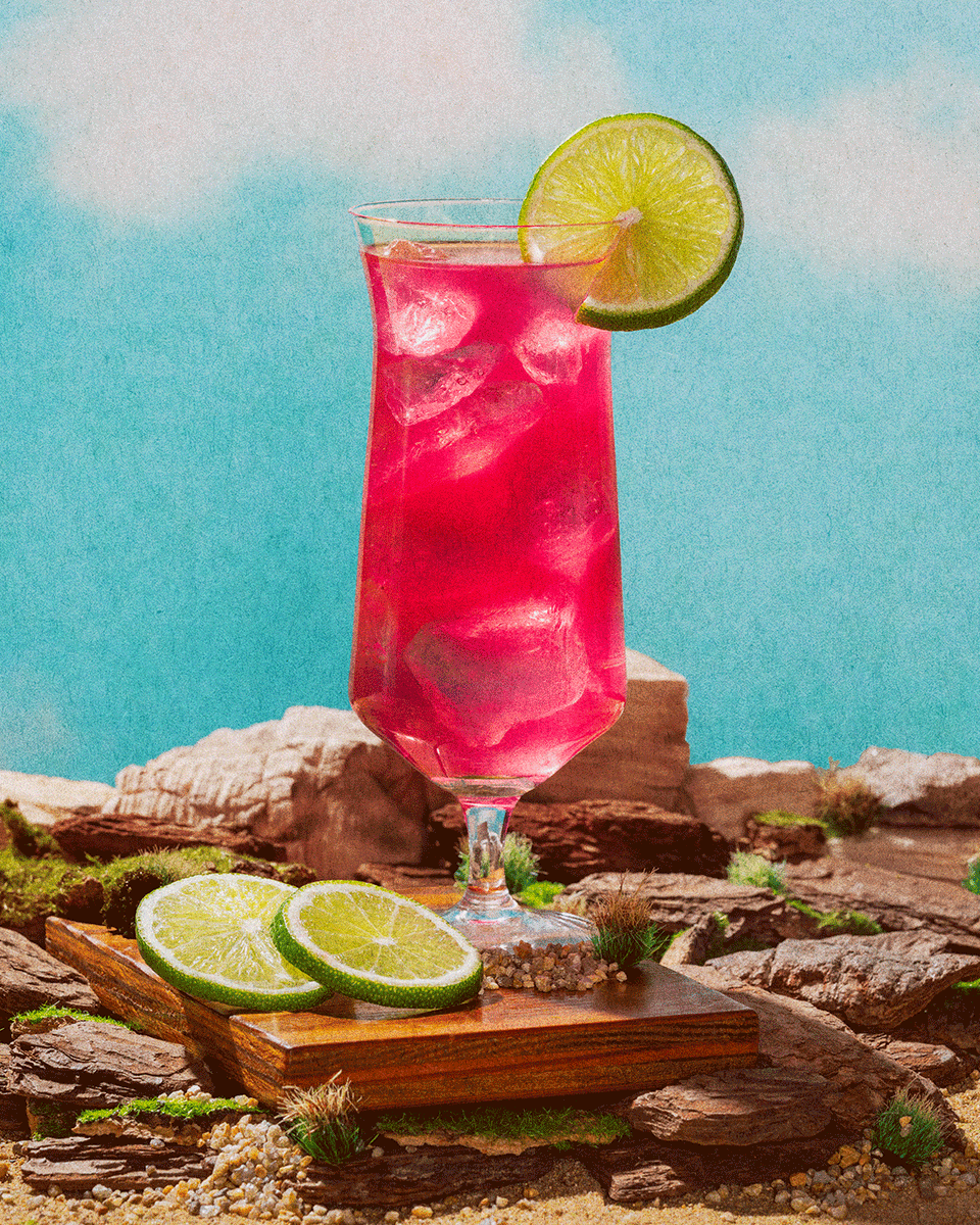 AlamoNaples tweet media