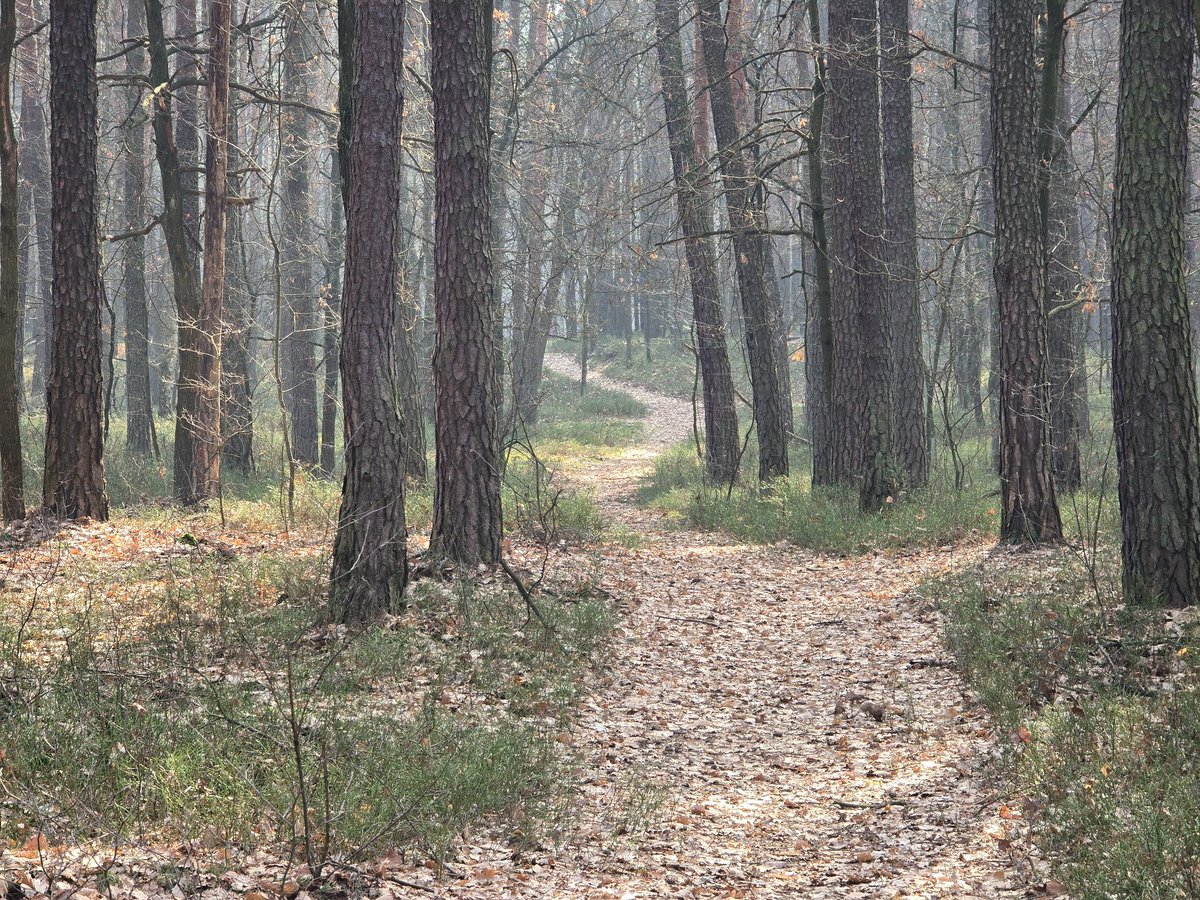 Magory 👉 Aether Collector on Steam 👈 solodev tweet media