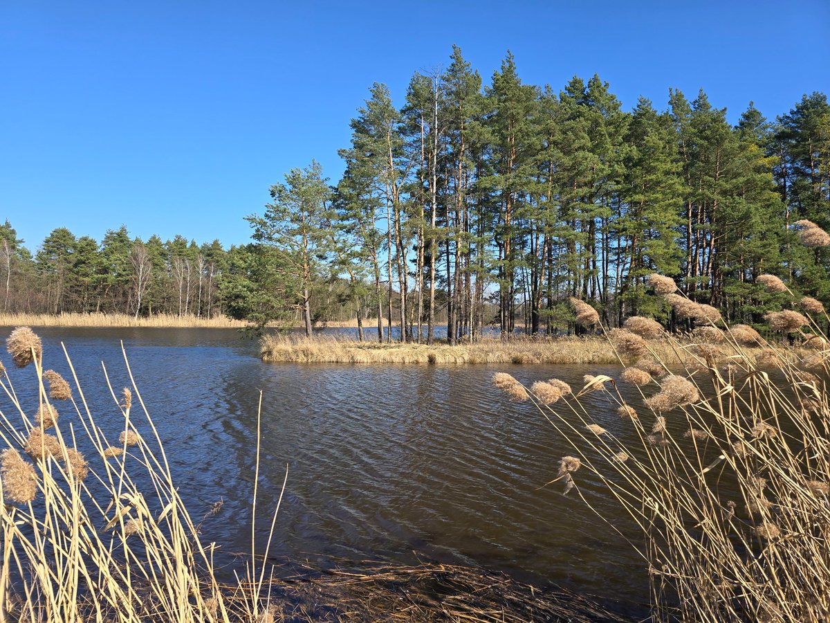 Magory 👉 Aether Collector on Steam 👈 solodev tweet media