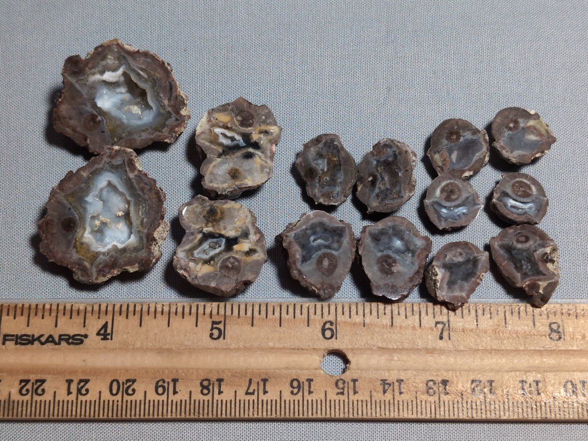 EarthScienceFun's tweet photo. Mini geodes and thundereggs from Colorado! The one on the left has really sparkly druzy quartz, but it's tough to capture in just a photo. I sliced and polished these the other day. #geodes #thundereggs #rocks https://t.co/YcFiZJej55
