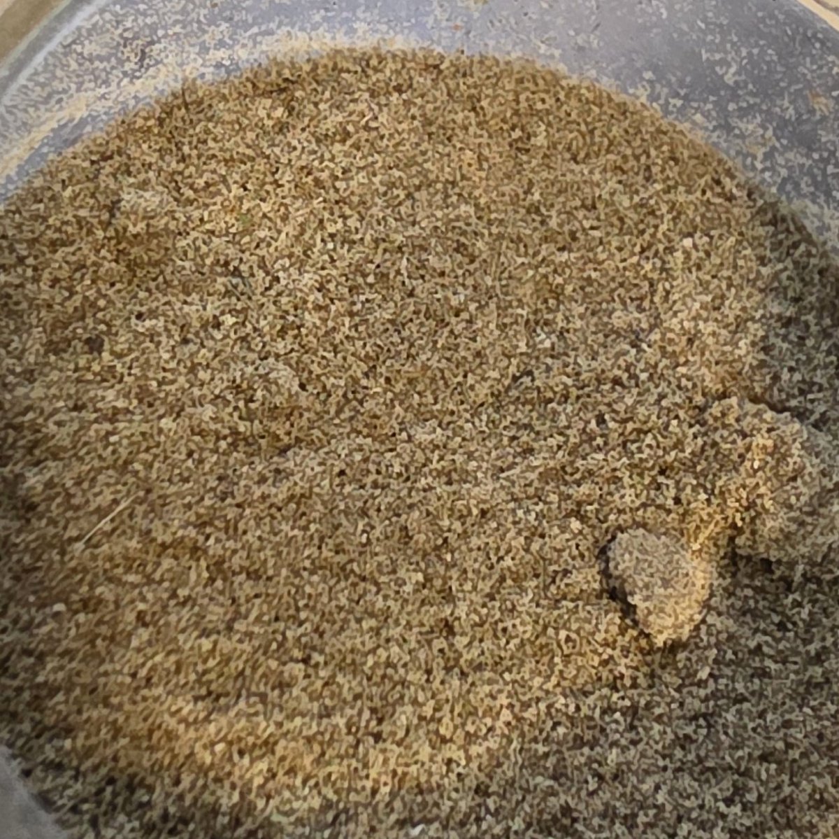 Living Soil Geek 🪱 tweet media