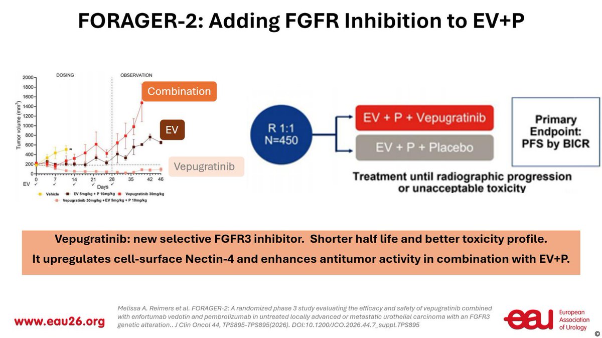 Sara Coca Membribes tweet media