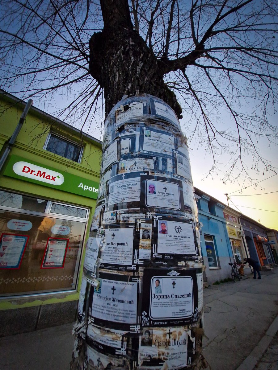 Burek sa Lisom tweet media