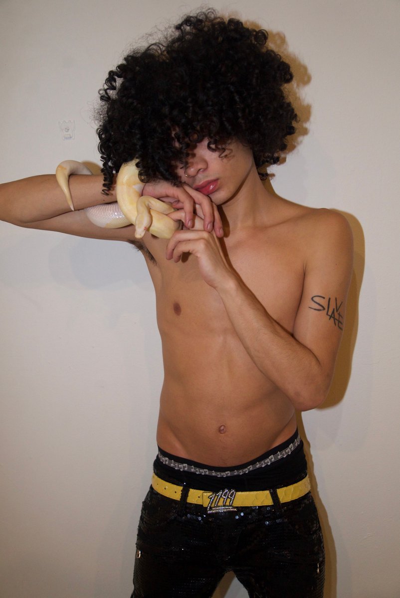 michael angelo tweet media