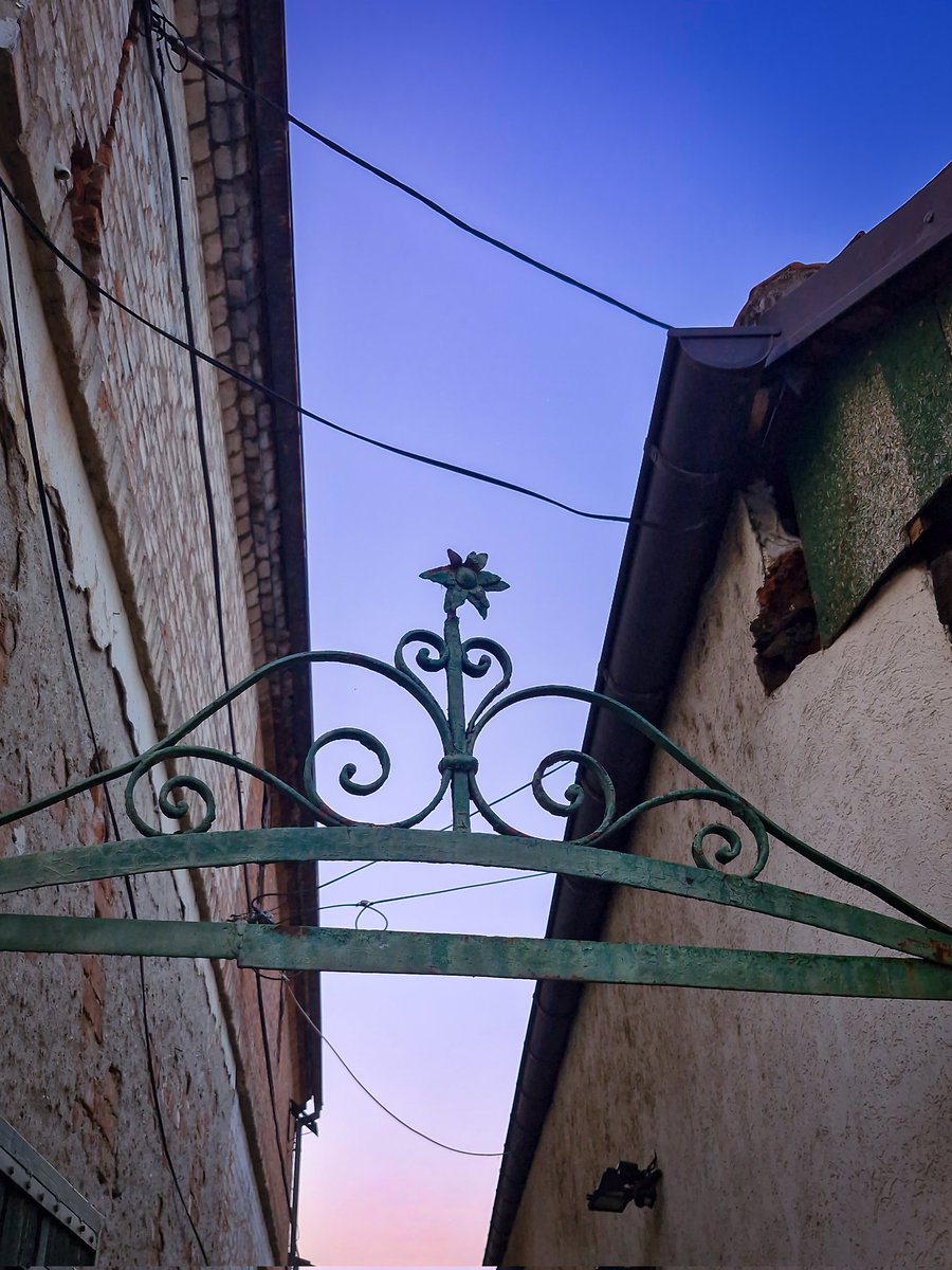 Burek sa Lisom tweet media