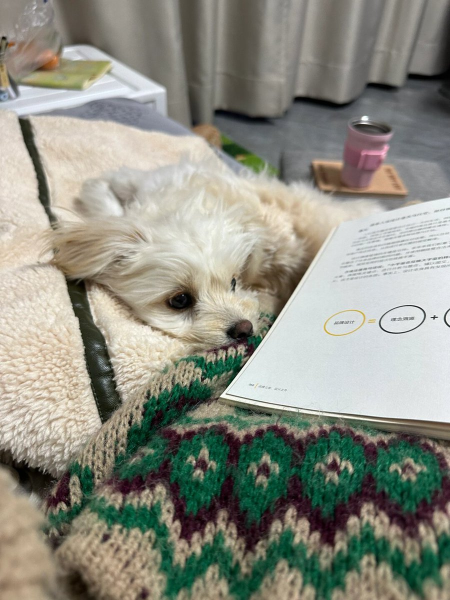 Светлана Шавалеева tweet media