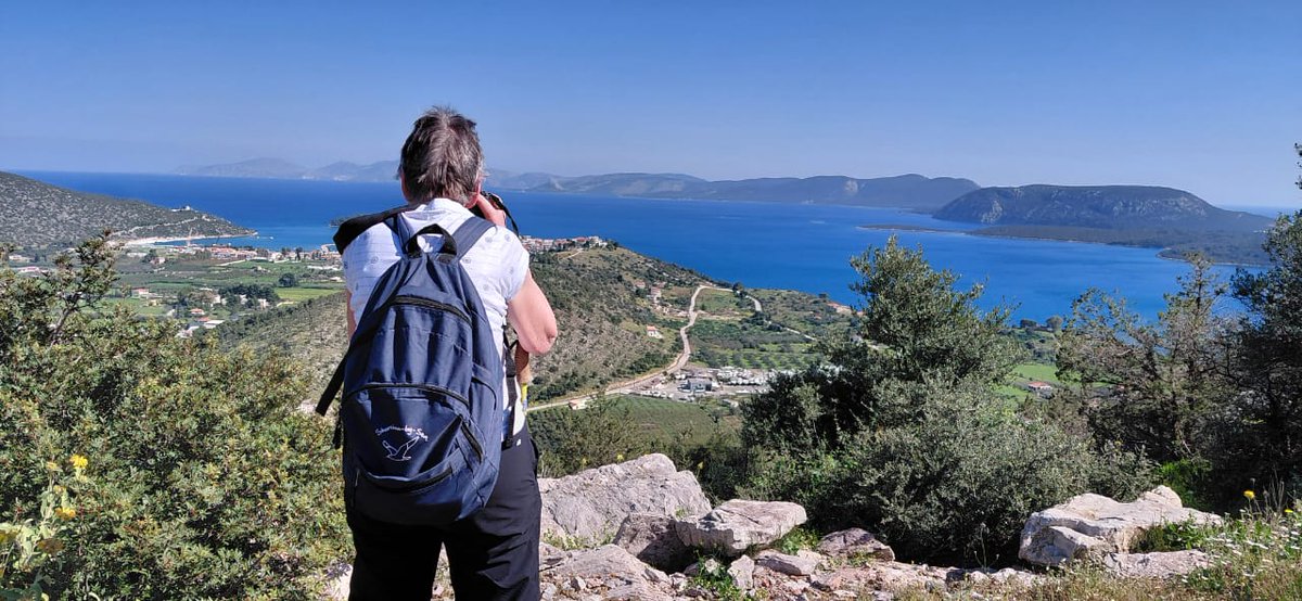 Greenwings Wildlife Tours tweet media