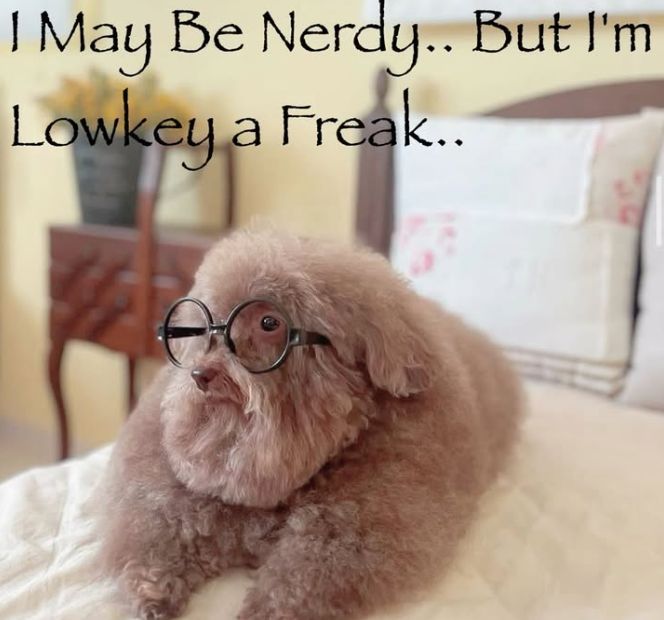 i drink soup tweet media