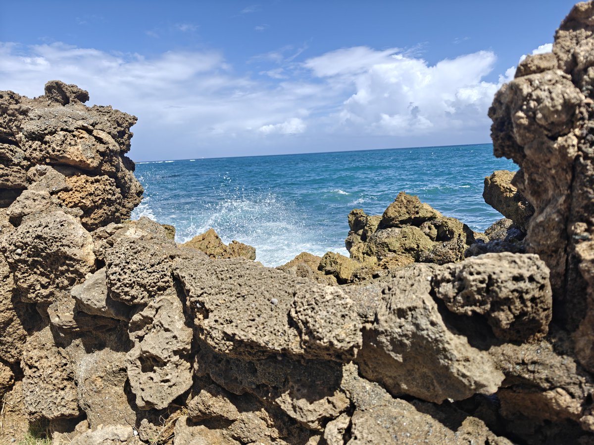 MSexton Photography tweet media