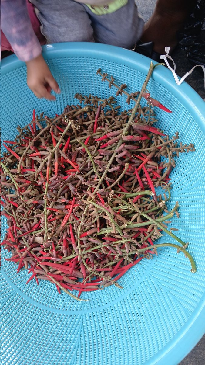 Es el Chato de los ojos tristes tweet media