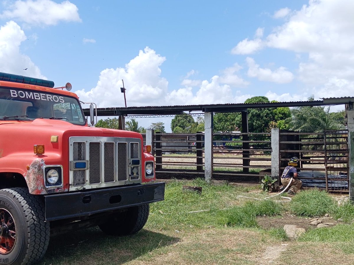 BCBRP's tweet image. 🚒🧼 #PanamáEsteDarién | Personal de DOEXBURE realizó baldeo en el matadero municipal de Santa Isabel de Chepo, garantizando higiene y seguridad para trabajadores y usuarios. 🤝💧 #Disciplina #Honor #Abnegación