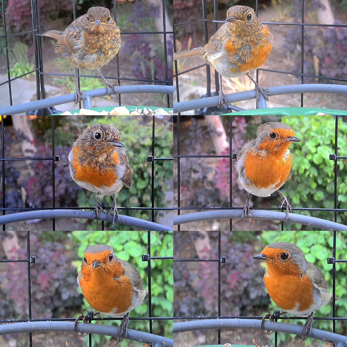 Charlotte 🦄🧚♀️ tweet media