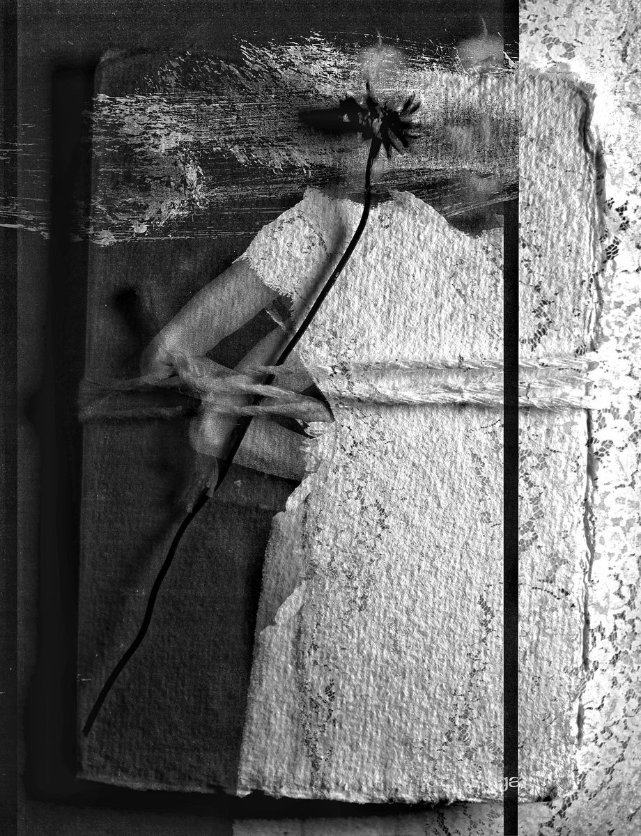 no faith tweet media