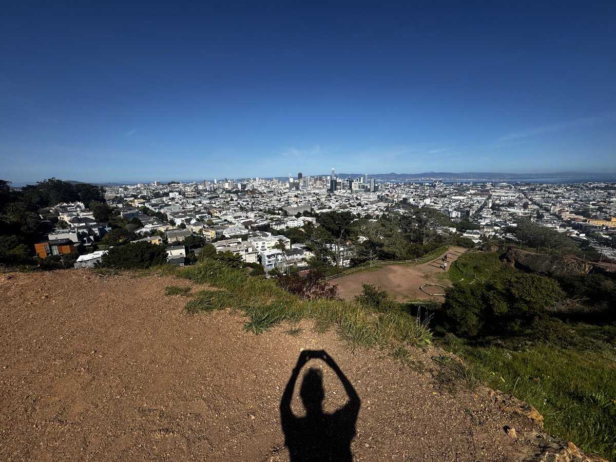 Alyssa Reddy tweet media