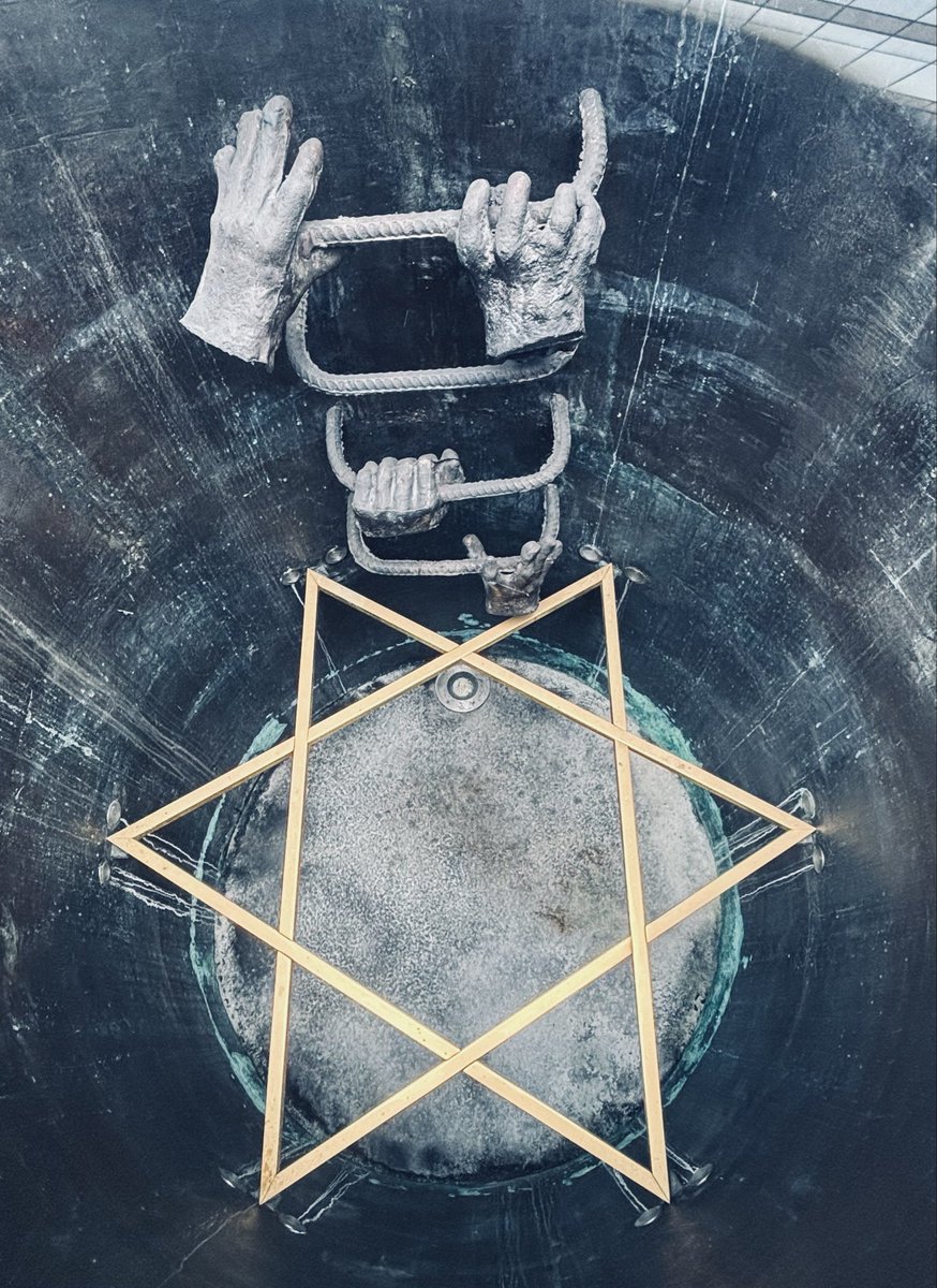 sober_socks 🦁 tweet media