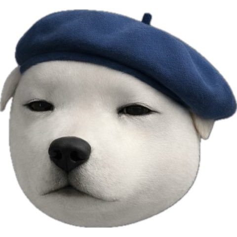 Stinger/https://arc tweet media