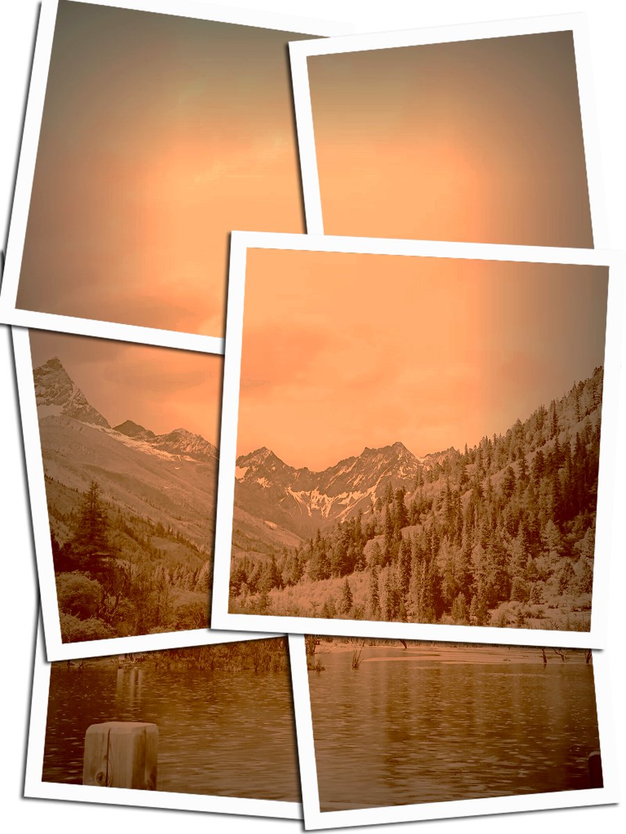 Wall Street Pepe | Official Announcements tweet media