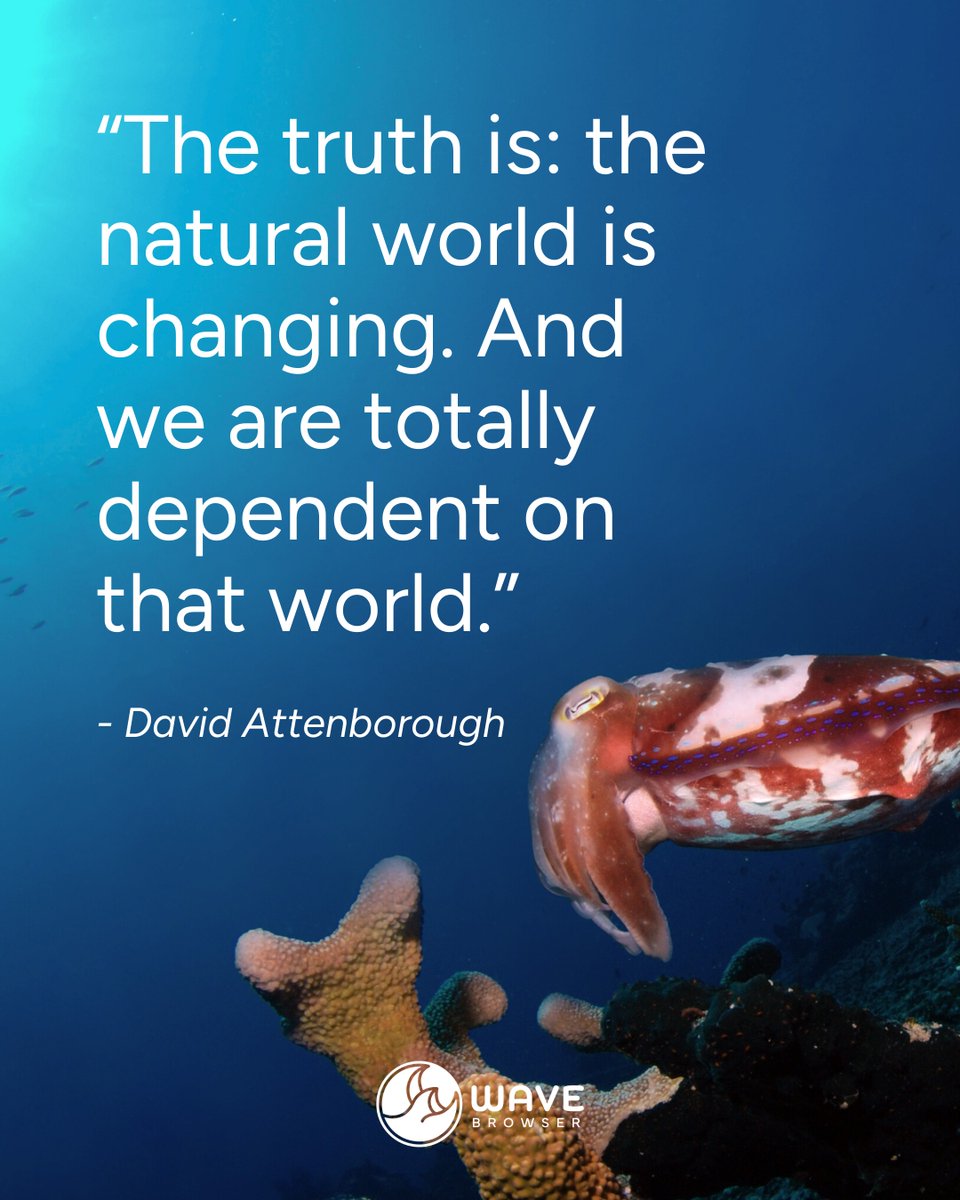 Wave Browser tweet media