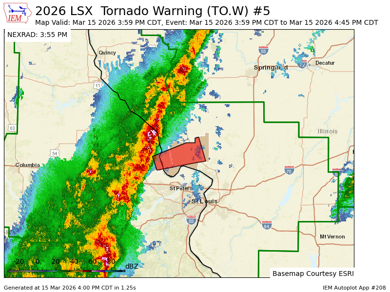 Haley Fitzpatrick tweet media