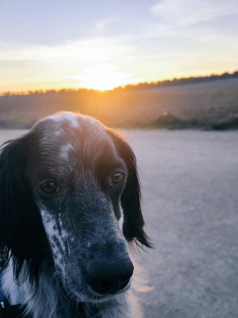 APAP Alcalá tweet media