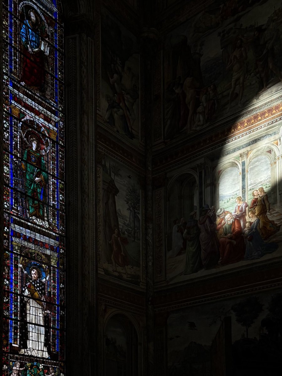 José Miguel tweet media