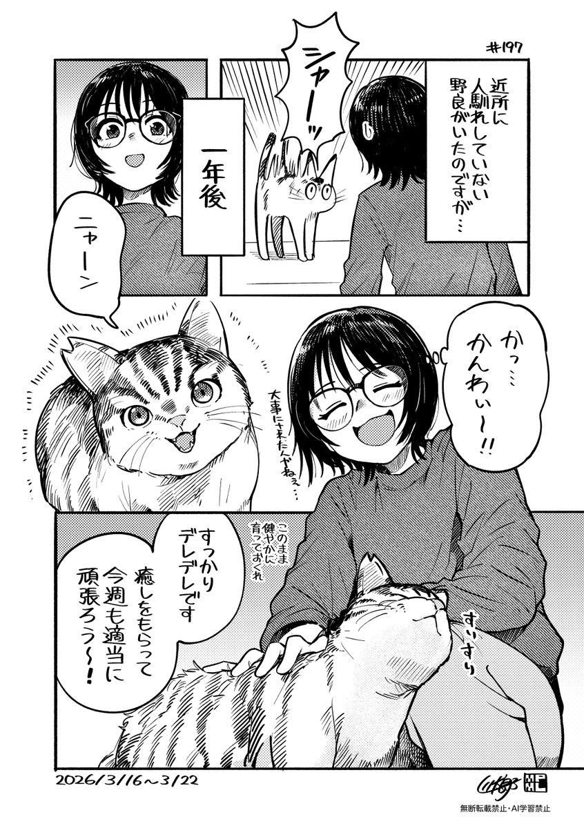 今週も適当に頑張ろう〜!👓😺 #今週も適当に頑張ろう 