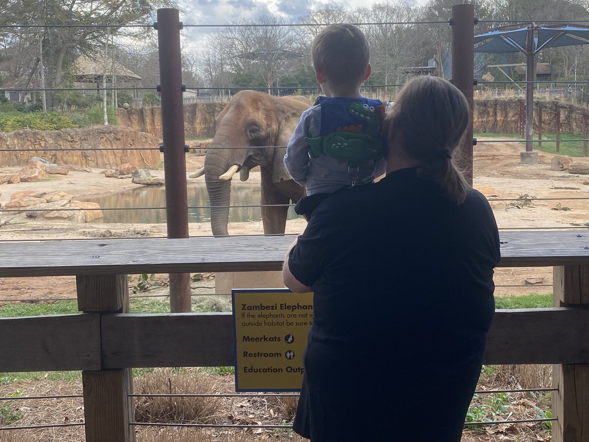 Peacock Queen tweet media