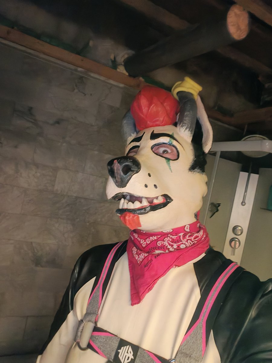 Zoomy @Darklands-SFJ tweet media